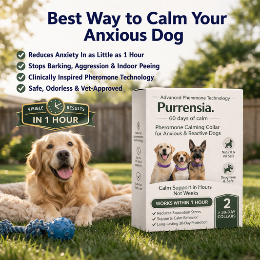 Purrensia® Anti-Anxiety Dog Collar